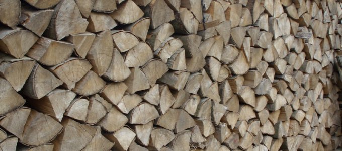 Drewno kominkowe - Buk